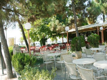 Флоринка в Кассандре - 50€ - Ref: 4471 фото 11
