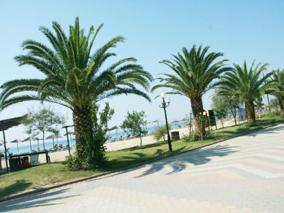 Флоринка в Кассандре - 50€ - Ref: 4471 фото 14