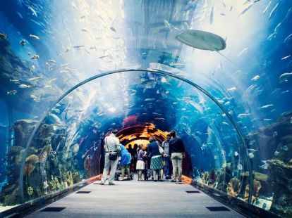 Бидеты в Дубайский аквариум и подводный зоопарк в Дубае - 150Dh - Ref: 4904 фото 10