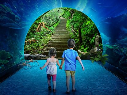 Бидеты в Дубайский аквариум и подводный зоопарк в Дубае - 150Dh - Ref: 4904 фото 4