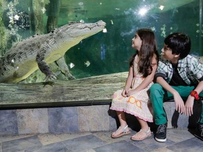 Бидеты в Дубайский аквариум и подводный зоопарк в Дубае - 150Dh - Ref: 4904 фото 5