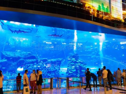 Бидеты в Дубайский аквариум и подводный зоопарк в Дубае - 150Dh - Ref: 4904 фото 8