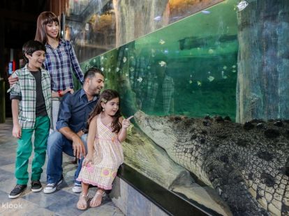 Бидеты в Дубайский аквариум и подводный зоопарк в Дубае - 150Dh - Ref: 4904 фото 9