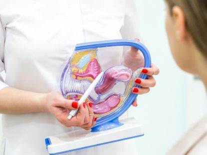 Гинеколог (ID:5741)