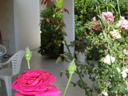 House / Cottage, Montenegro, Tivat C., Krasici, 380 000 € photo 13