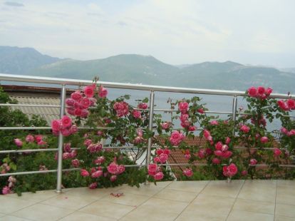 House / Cottage, Montenegro, Tivat C., Krasici, 380 000 € photo 16