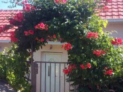 House / Cottage, Montenegro, Tivat C., Krasici, 380 000 € photo 28