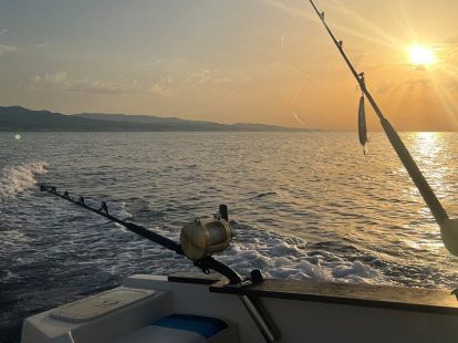 Fishing (ID:6175)