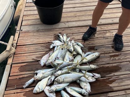 Рыбалка в Коста Бланка в Аликанте - 100€ - Ref: 6175 фото 2