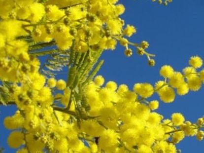 Выходные на яхте в Барселоне в Барселоне - Ref: 6181 фото 7