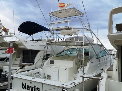 Рыбалка на акул в Барселоне - Ref: 6304 фото 3