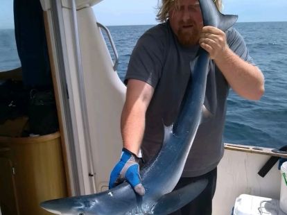 Shark fishing (ID:6304)