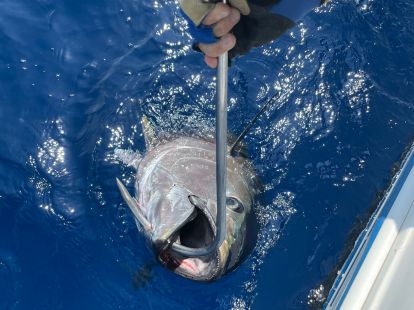 Профессиональная рыбалка на большую рыбу в Барселоне - Ref: 6305 фото 2