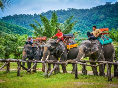 Excursions Phuket, Tours (ID:6665)