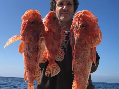 Морская рыбалка ловля на тунца в Барселоне - Ref: 6813 фото 2