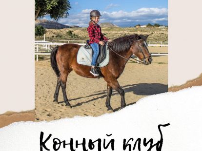 Children's party at the equestrian club (ID:6839)