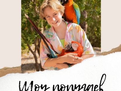 Parrots for the holiday (ID:6854)
