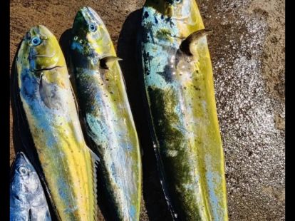 Отдых и рыбалка в Барселоне - Ref: 6920 фото 2