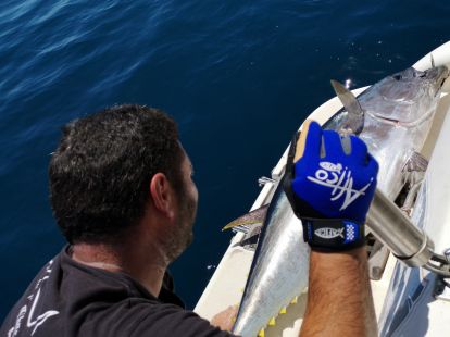 Отдых и рыбалка в Барселоне - Ref: 6920 фото 3