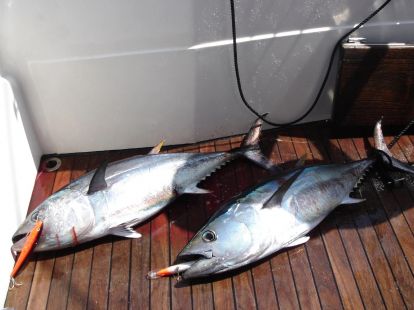 Отдых и рыбалка в Барселоне - Ref: 6920 фото 4