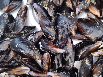 Корпоративный кейтеринг в Аликанте - Ref: 6922 фото 13